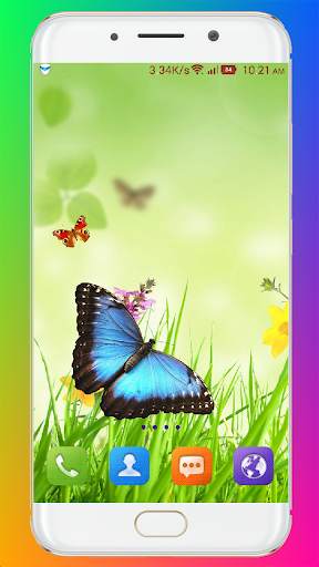 Butterfly Wallpaper HD screenshot 13