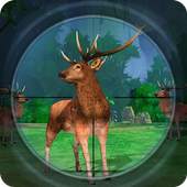 Jungle Animals Real Sniper Hunting: FPS Shooting 1.0