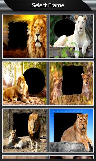 Lion Photo Frames screenshot 2