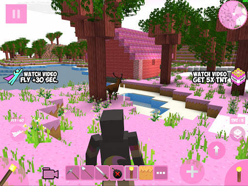 Candy Craft screenshot 12