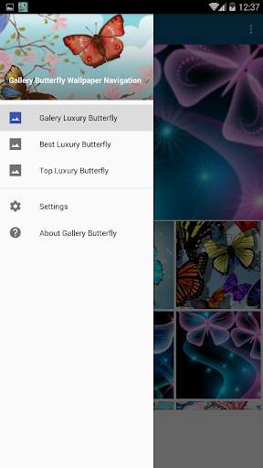 High Quality Butterfly Wallpaper screenshot 1