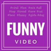 Funny Videos 2016 1.0
