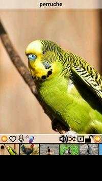 bird sounds screenshot 2