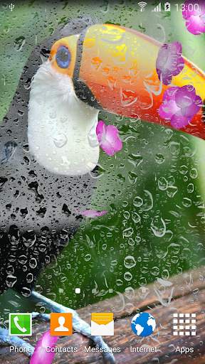 Animals Cute Live Wallpaper screenshot 4