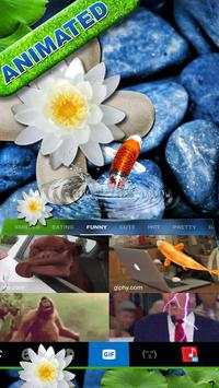 Live Koi Fish2 screenshot 4