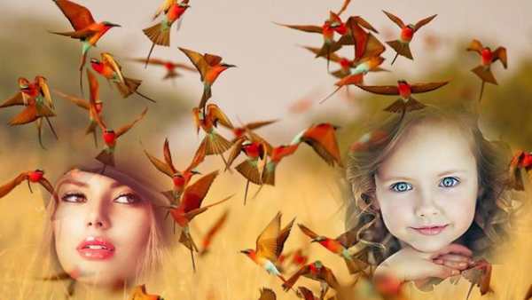 Birds Photo Frames स्क्रीनशॉट 2