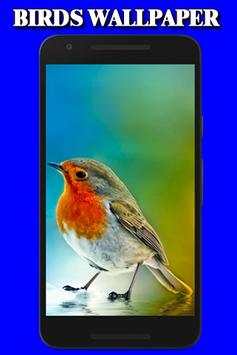 Birds Wallpaper screenshot 1