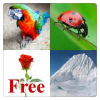 Learn English Words Free logo