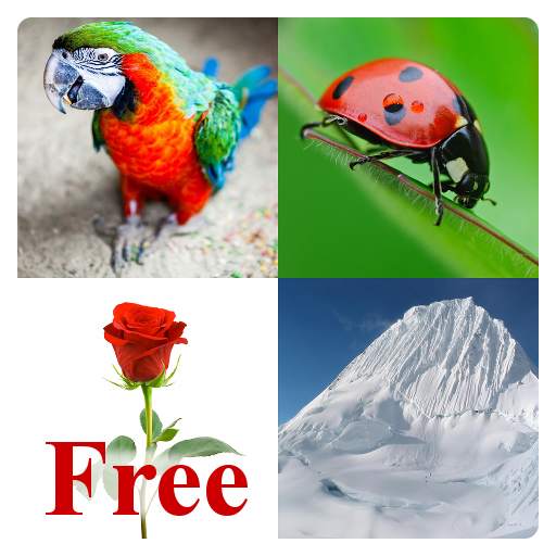 Learn English Words Free 1.05