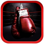 Boxing Training and Techniques icon