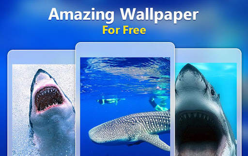 Shark Live Wallpaper screenshot 4