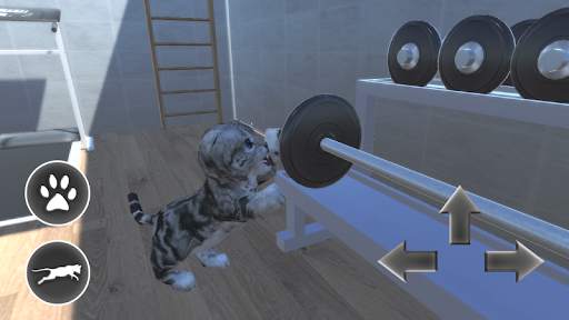 Cat Simulator 🐱 3D screenshot 5