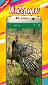 Turkey Wallpapers 5 تصوير الشاشة