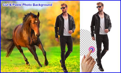 Horse Photo Frames screenshot 1