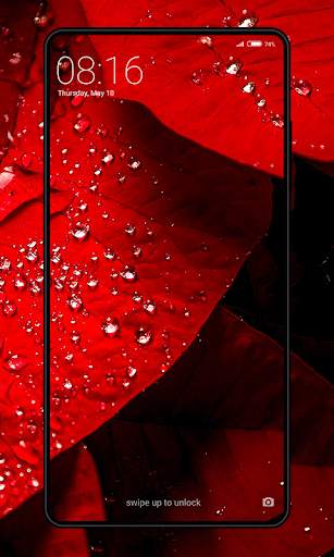 Red Wallpaper screenshot 3
