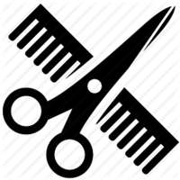 Brici Barber Shop logo
