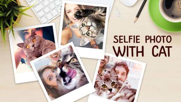 Selfie photo with cat screenshot 2