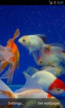 Gold Fish screenshot 2