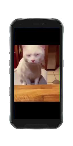 Funny Video Status For SnapChat screenshot 7