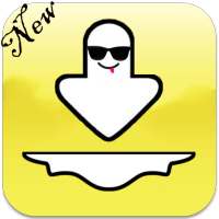 Story Downloader for Snap logo