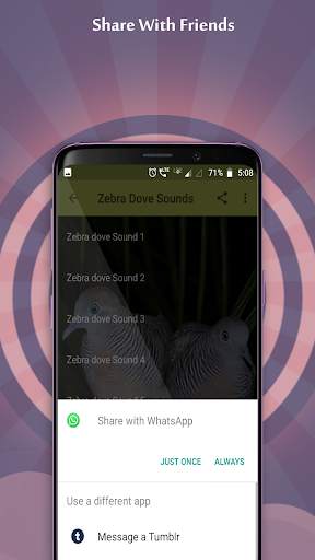 Zebra Dove Sounds screenshot 5
