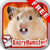 Angry Hamster Free! 1.074