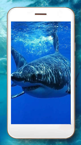 Shark Terrible Live Wallpaper screenshot 4