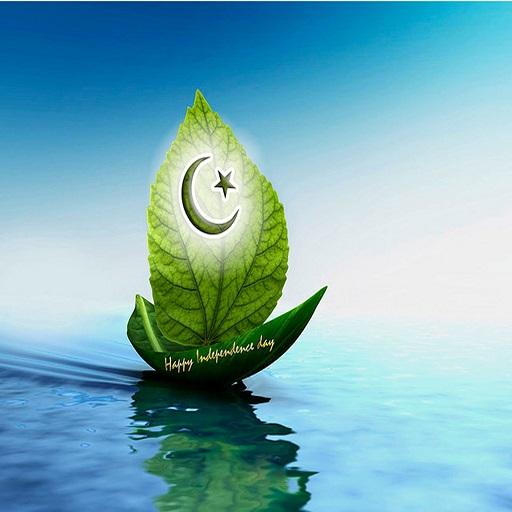 Naya Pakistan Browser icon