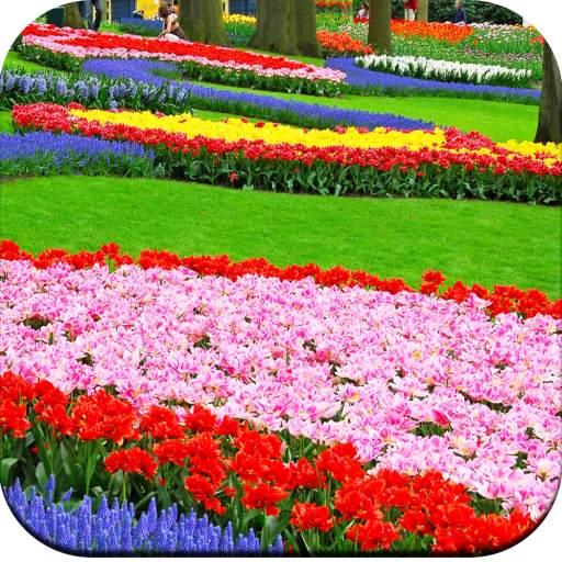 Garden Wallpaper HD 1.15