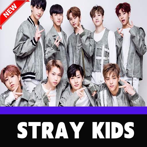 Stray Kids Songs KPop Offline - Back Door 2.0