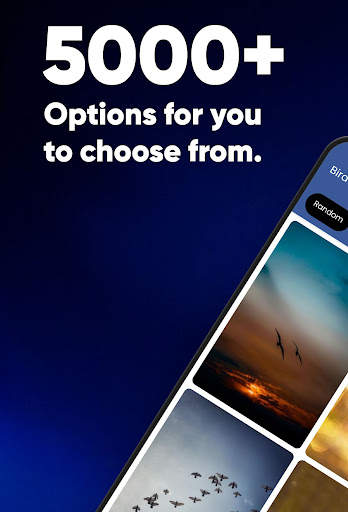 Bird Wallpaper screenshot 2