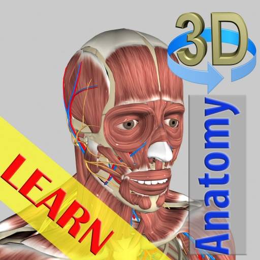 3D Bones and Organs (Anatomy) 5.8