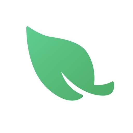 Leaf VPN: stable, unlimited 1.17