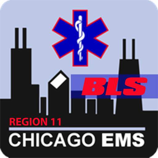 Region 11 BLS Protocols 1.5.1