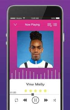 🎵 YNW Melly Songs screenshot 2