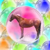 Horse - game for kids logo