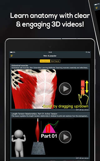 Anatomy by Muscle & Motion screenshot 10