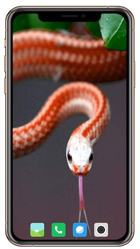 Snake Wallpaper screenshot 10