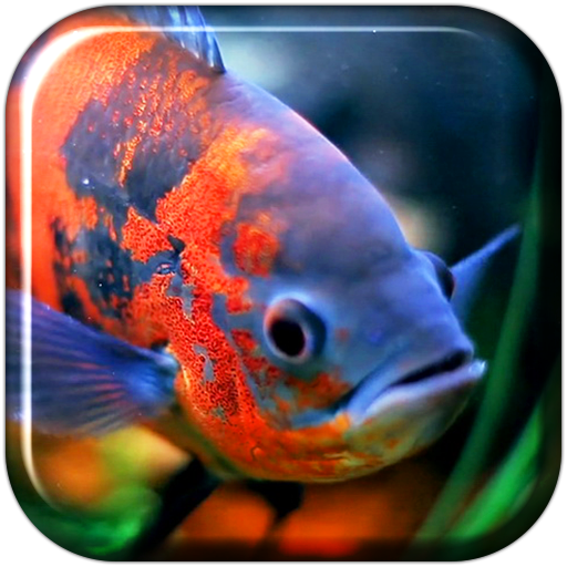 Aquarium 3D. Video Wallpaper icon