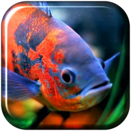Aquarium 3D. Video Wallpaper 1.05