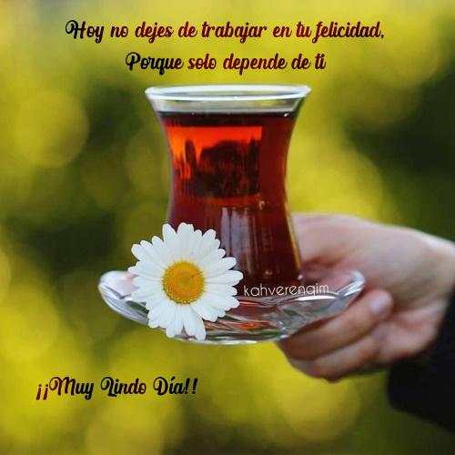 Saludos y Mensajes Positivos स्क्रीनशॉट 3