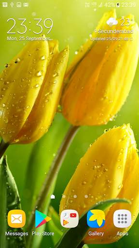 Flowers Live Wallpaper screenshot 5