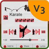 Karate Music Player Skin logo