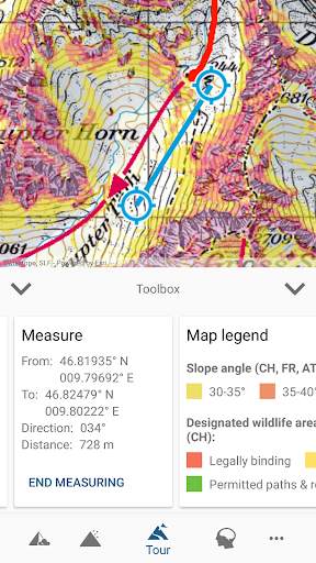 White Risk - SLF Avalanche App screenshot 7