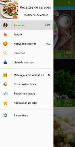 Recettes de salades screenshot 2