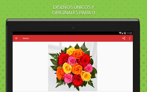 Rosas de Colores para Enamorar 9 تصوير الشاشة
