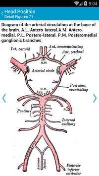 Grays Anatomy Student Edition screenshot 5