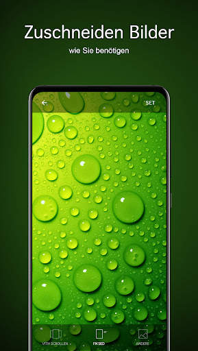 Grüne Hintergrundbilder 4K screenshot 4