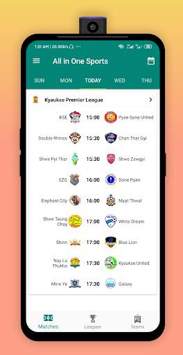 All in One Sports screenshot 1