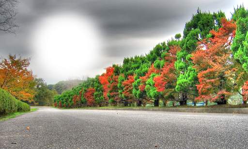 Nature Photo Editor screenshot 7